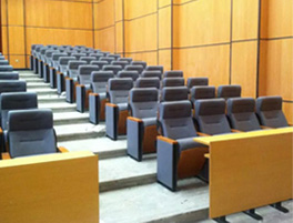 廣州某學(xué)術(shù)報(bào)告廳LY-4524D