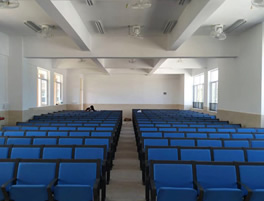 從化階梯排椅 中山大學(xué)南方學(xué)院附屬小學(xué)多功能會(huì)議室